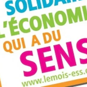 29882-10031317-1374564336-mois-de-l-ess
